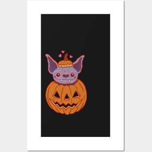 Pumpkin bat Posters and Art